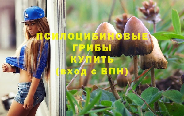 синтетический гашиш Саяногорск