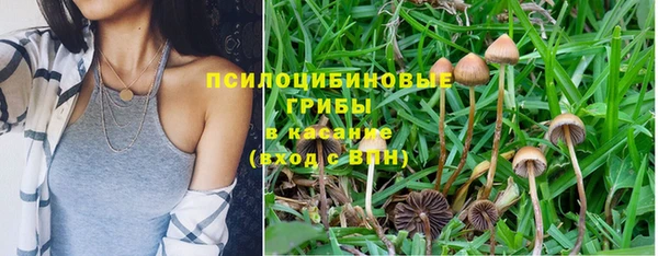 дживик Похвистнево