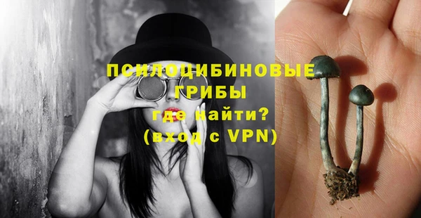 метадон Сатка