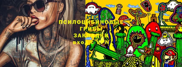 винт Коряжма